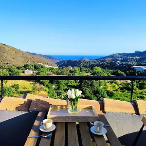 https://dplex-mar-y-montaa.es-andalucia.com